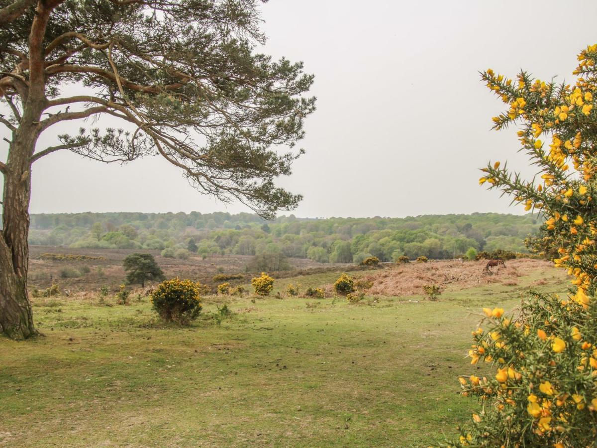 Orchard Annexe Villa Lymington Esterno foto